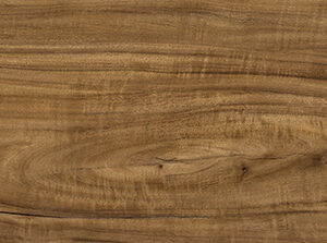 ACACIA BROWN - Image 5