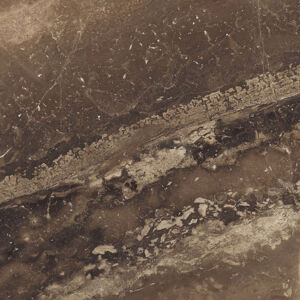 CALIFORNIA GOLD - Image 3