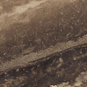 CALIFORNIA GOLD - Image 4