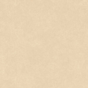 CEMENTO BEIGE - Image 4