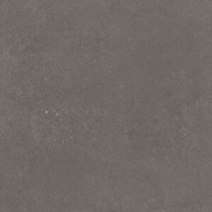 DARWIN TAUPE - Image 4