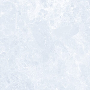 EMPERADOR GREY - Image 5