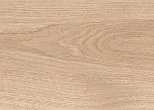 LATINA BEIGE - Image 4