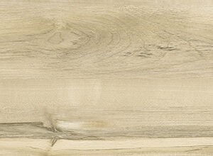 MAPLE BEIGE - Image 4