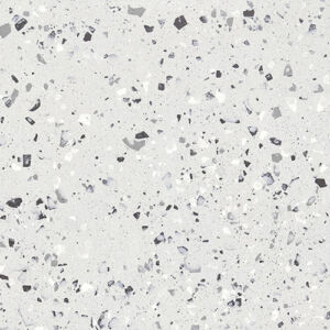 SILVER - Image 2