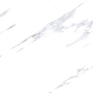 103 [SEMI-GVT] - Image 2