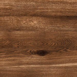 ACACIA BRILLO - Image 4