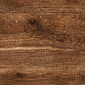 ACACIA BRILLO - Image 3