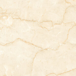 BOTOCHINO CREMA - Image 4