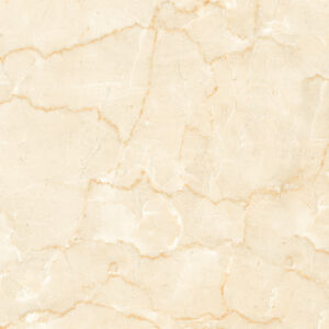 BOTOCHINO CREMA - Image 5