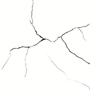 FOREST WHITE - Image 4