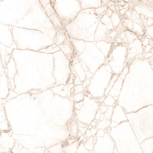 VERSACHE IVORY - Image 4