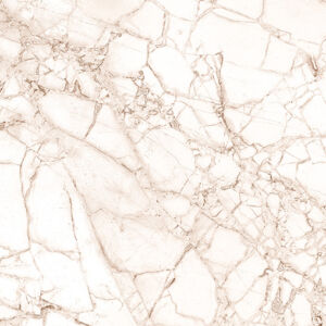VERSACHE IVORY - Image 3