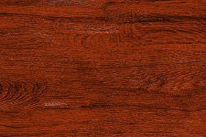 10015 - Image 4