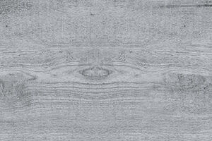 10018 - Image 3