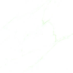 10307 - Image 3
