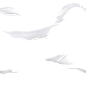 21424 - Image 2