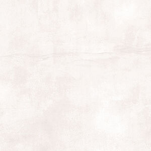 5179 - Image 2