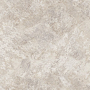 BASIL - Image 3