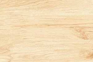 CLEAN SLATE - Image 2