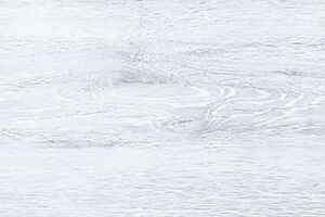 COTTON WHITE - Image 4
