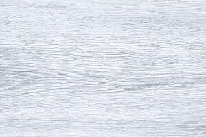COTTON WHITE - Image 3