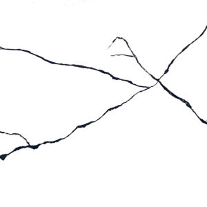 CRACK BEETEL - Image 5