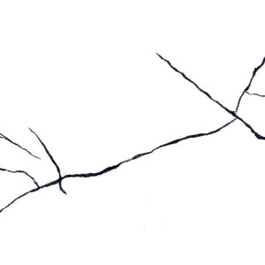 CRACK BEETEL - Image 4