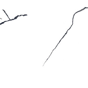 CRACK BEETEL - Image 3