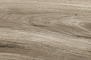 DRIFT WOOD - Image 3