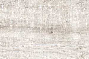 ELM WOOD - Image 2
