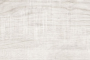 ELM WOOD - Image 5