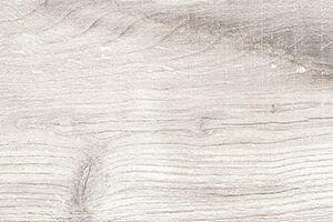 ELM WOOD - Image 3