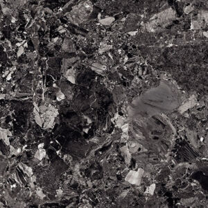 FOSSIL BLACK - Image 4