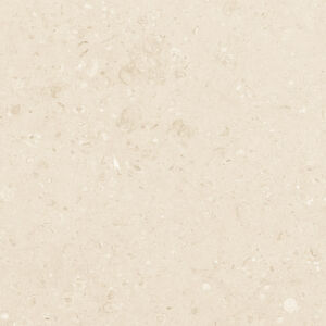 GALACTIC BEIGE - Image 4