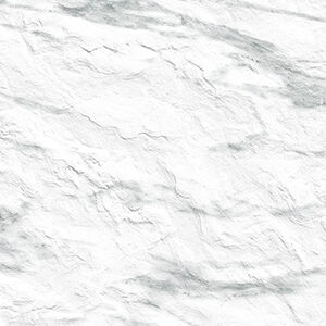 JERSEY 02 - Image 2