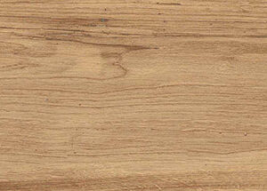 ROYAL BEIGE - Image 2