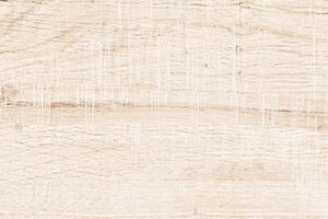 SOFT WOOD - Image 2